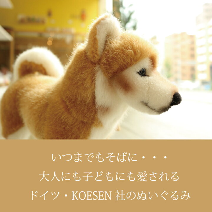 楽天市場 柴犬 シバ犬 犬 おもちゃ ぬいぐるみ 上質 ケーセン 小さい 可愛い ハンドメイド ドイツ ０歳 １歳 ２歳 ３歳 ４歳 ５歳 プレゼント 木のおもちゃ専門店ゆうぼ