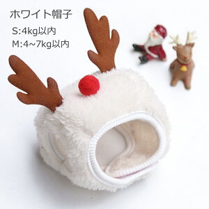 NX}X ybg p XJ[t 悾ꂩ ru p Lp  hbOEFA   񂿂 L lR ^ ^  킢 v[ga ~ ł U 