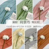 【2点460円/3点760円OFF】撮影 背景布 無地 アイボリー ピンク おしゃれ 撮影シート 背景シート 2.5m 4m …