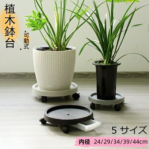 y2_500~/3_800~OFFN[|zAؔ u t[X^h  Aؔ tړԑ  v[g u ϗtA v^[gC |bN ړ֗ 360°] 