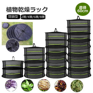 【2点500円/3点800円OFF】乾燥ネット ドライネット 吊り下げ 折りたたみ 2段 4段 6段 8段 干し網 干物用ネット 物干しネット 干し野菜ネット 直径60cm 乾物作り 衣類乾燥 食器乾燥 薫製 コンパクト