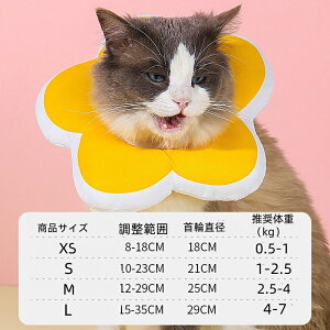 GUxXJ[ L  pPA rߖh~ _炩 z y ʋCی֎ ybgp pi Lp p _炩 y rߖh~ p ޖh~ ybgpi ^ 