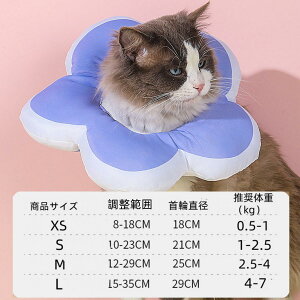 GUxXJ[ L  pPA rߖh~ _炩 z y ʋCی֎ ybgp pi Lp p _炩 y rߖh~ p ޖh~ ybgpi ^ 