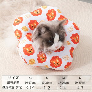 GUxXJ[ L  pPA rߖh~ _炩 z y ʋCی֎ ybgp pi Lp p _炩 y rߖh~ p ޖh~ ybgpi ^ 