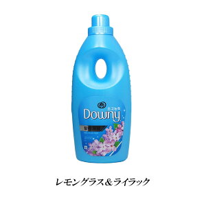 Downy RA_Ej[ 1000mL x[ojAOXCbNAzCgeB[[ ؍ _ _Ej[ 