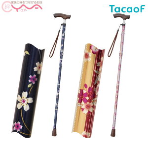 yKa쏊(TacaoF)zeCRu܂肽ݎLkXebLiׁj EON12@[܂肽ݏ]
