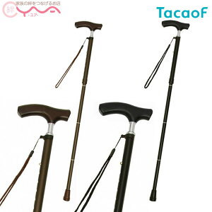 yKa쏊(TacaoF)zeCRu܂肽ݎLkXebLiׁj EON13@[܂肽ݏ]