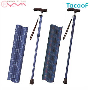 yKa쏊(TacaoF)zeCRu܂肽ݎLkXebLiׁjBOLD EON16@[܂肽ݏ]