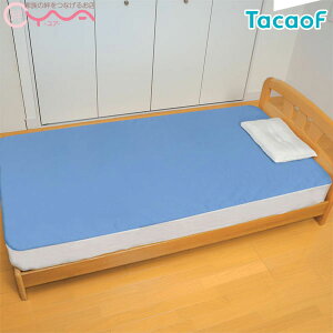 yKa쏊(TacaoF)zfjhV[c iSʃ^Cvj u[SE06Z@[hV[c][pi]