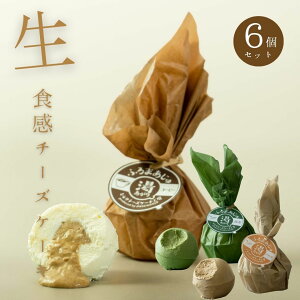 【湯あがりミルクチーズケーキ 抹茶 × ほうじ茶×コーヒー 】 6個入 チーズケーキ 個包装 高級菓子 スイーツプレゼント 女性 和スイーツ 抹茶チーズケーキ お取り寄せ おしゃれ 喜ばれる手