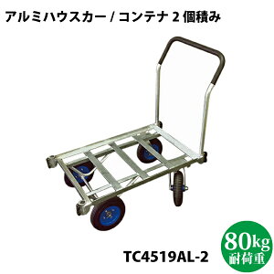 ݃A~nEXJ[@2ς TC4519AL-2yꌧzBs/sz