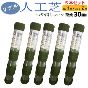 ���A���l�H�� ������^�C�v 5�{�Z�b�g ��1mx����2m�@�ŏ�30mm �y���ꌧ�z�B�s��/����s�z