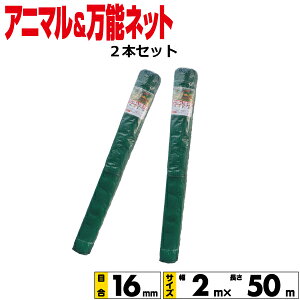 Aj}lbgE\lbg 2{Zbg 2mx50m@ڍ16mm ylEꌧzBs/sz