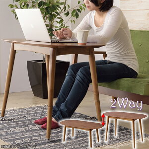 Z^[e[u 2iK 2WAYe[u [e[u _CjOe[u VR EH[ibg˔gp ȃfXN prt@100cm×50cm s kCEꌧ