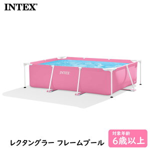 CebNX N^O[ t[v[ sN ƒpv[ ` ^ rj[v[ t@~[v[ t[v[ ȒPg INTEX 28266NP