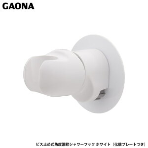 KIi J V[tbN px Bv[gt rX~ߎ zCg p V[wbh̊px GA-FP031 p GAONA JN_C