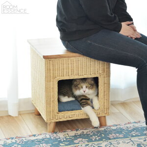 ybgnEX ybgXc[ L ^ ؐ֎q PET-63 ؐ ybgxbh NbVt VR؃pC ^ J AZUMAYA s