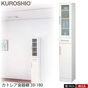 y2024/12/6pՁzyzyszNVI@JgA HI 30cm@yJbv{[hzyLb`[zyԎ[ 30cmz