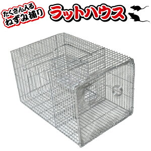 VZC ˂ݕ߂@bgnEX yꌧzBs/sz