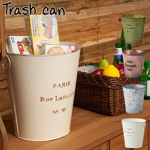 _Xg{bNX ȃAeB[N X`[ ی^ S~ AC{[ s kCEꌧEzBs