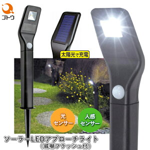 \[[LEDAv[`ZT[Cg ЊdtbVt 870439 lZT[ ZT[ LEDCg \[[[d hƃCg z[d _    hƑ΍ sR Qb N