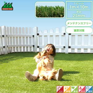 lH 1m×10m [ ŏ25mm `LAlH [^[t jIrY MT25-0110 Us ڒܓ͕ʔł s