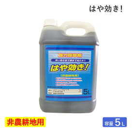 シンセイ 除草剤はや効き 5L 非農耕地用除草剤 希釈タイプ 液体 液剤 速効 早く効く 強力除草剤 根まで枯らす 一年生雑草 多年生雑草 スギナ アワダチソウ 道路 公園 宅地 駐車場 運動場 除草 雑草対策 SHINSEI 代引不可