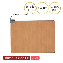 楽天市場】電気 不要 ホット カーペットの通販