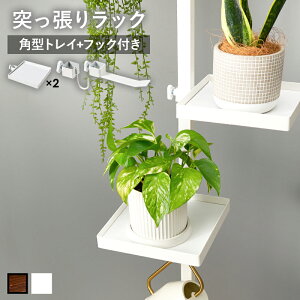 ˂胉bN  ˂_p[c5_Zbg p^gC2ƃtbN2t 5_Zbg uE×ubN zCg×zCg g s