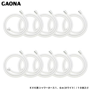 KIi GG KVKp V[z[X 1.6m 10{ zCg KVK p z[X ܂Ƃߔ ȒPt GA-FK145 { GAONA JN_C