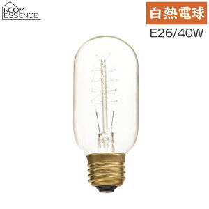 Md E26 40W GW\SS LHB-92 NA gd J AZUMAYA s