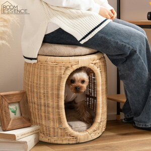 ybgnEX ybgXc[ L ^ ؐE^֎q PET-66 ybgxbh NbV J AZUMAYA s