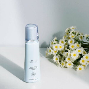 DR PLANT Xm[zCg CXg[V Xm[[^X iCAVA~h  ϐ CXg [V   ێ XL[V r^~cU XLPA V~ ێ