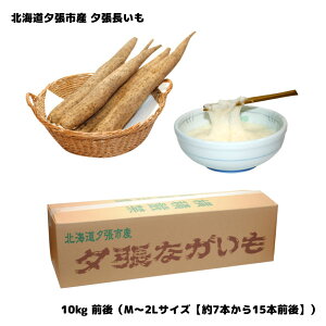 \ kC[sY [ 10kg O MTCY2LTCY 7{15{ O 񂹃O 11{肨͂