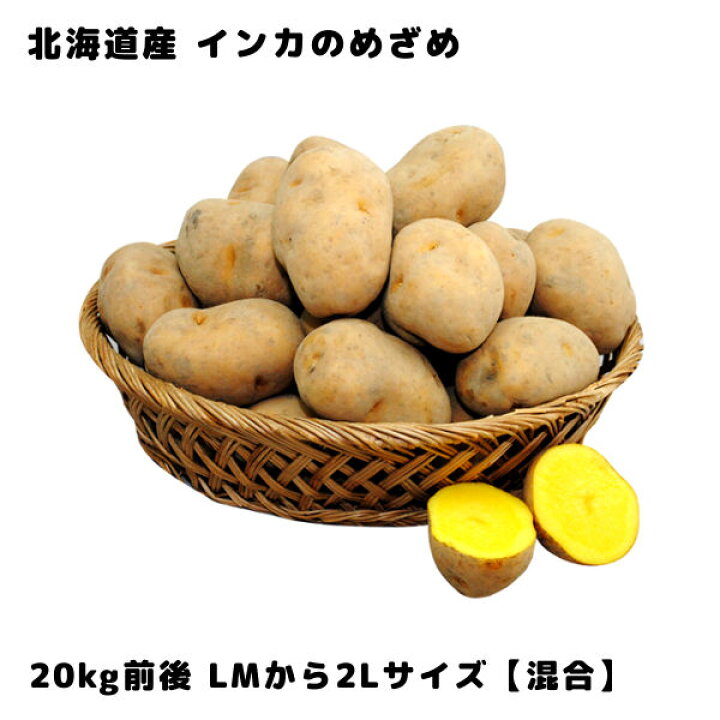 楽天市場】北海道産 新じゃがいも インカのめざめ 20kg 前後 いんかの 