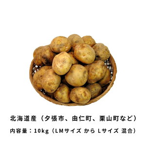 \ k 10kg O LMTCYLTCY  kCY VႪ 񂹃O  L^AJ 9{肨͂