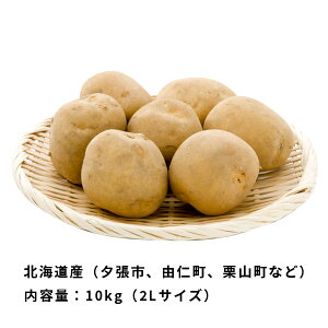 \ Ƃ 10kg O L2LTCY kCY VႪ 񂹃O 9{肨͂