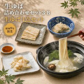 【SS限定10%OFF】 生ゆば詰め合わせセット：3-B プレゼント 敬老の日 70代 80代 60代 贈り物 ギフト 祖父 祖母 老舗 祝い 孫 お取り寄せ 送料無料 送料込み 内祝い 湯葉 井戸水 国産大豆100% グルメ 贈答 手土産 人気 おすすめ ゆば甚 ヘルシー 健康 和食 但馬 高級 伝統