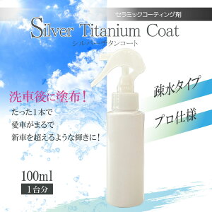 Z~bNR[eBO Vo[`^R[g 100ml 1䕪 a^Cv ȒP vdl DIY {fBR[g J[R[eBO ϋv  eiX