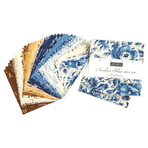 moda`[pbNuAmelias Blues-31650PPvJbgNX 12.7cmp42