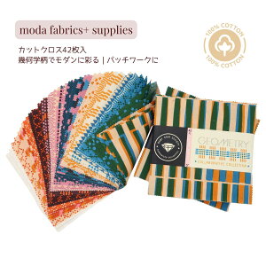 moda `[pbNuGeometry-RS5170PPvJbgNXZbg 100u12.7cmp×42v