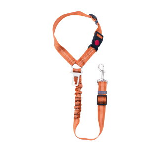  V[gxg ԗp [h  Lk obNt hCup ybgV[gxg яoh~ ^ ^ ^ LΉ wbhXg v 􂦂 S[h 360x