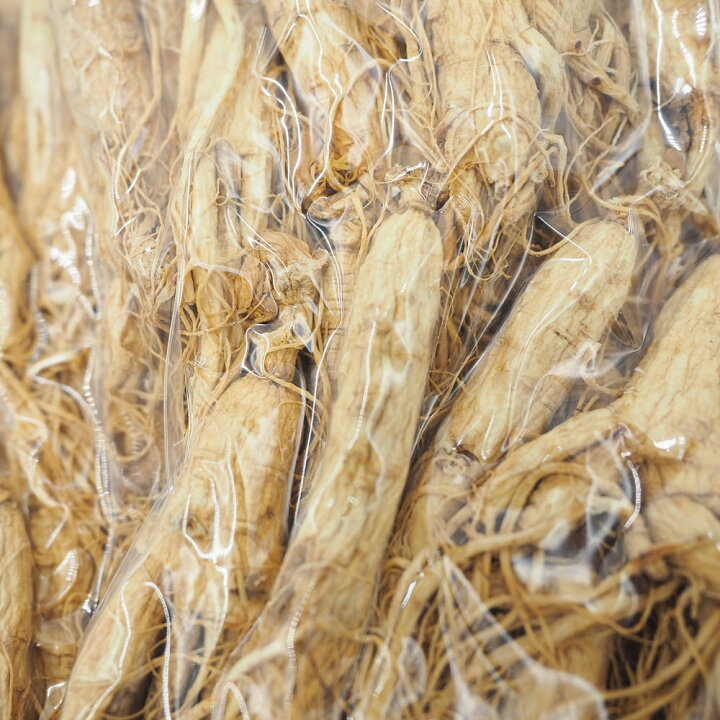 楽天市場】[輸入元直販/現品] 長白山白人参 6年根 500g (高等級品約50 