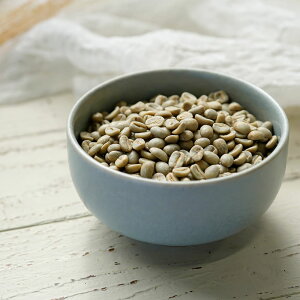 i [] pR R[q[ 1KG QCV L@͔| 蓤  R}Ee R[q[_A Yn