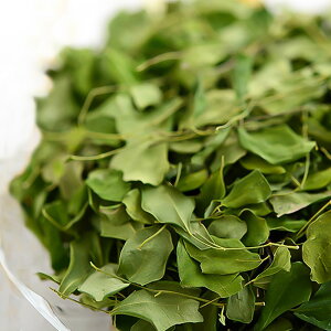 [����V�H] 50g �������K�̗t �V�[�T���p���i���Y �ቷ���� �Y���ܕs�g�p �n�[�u�e�B�[ ���_��͔|