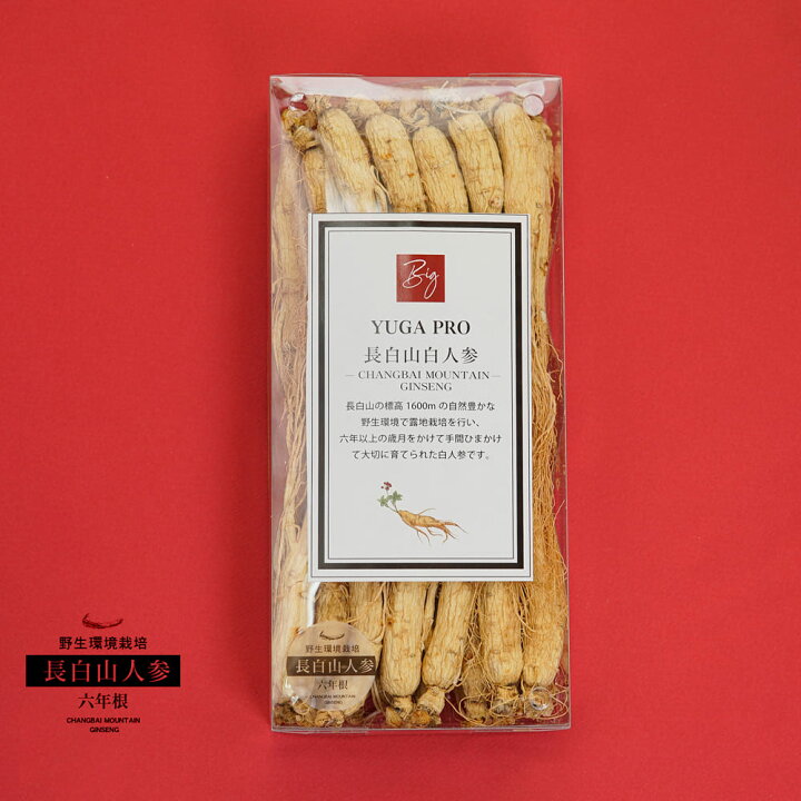 楽天市場】[輸入元直販/現品] 長白山白人参 6年根 500g (高等級品約50 