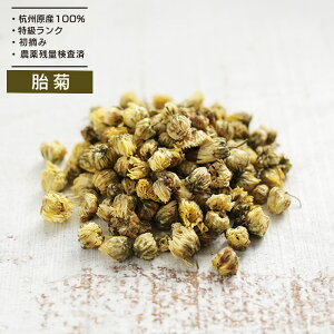 yƖp500gzًe Ye Q100% eԒ mJtFC V _ceXgς uh eN e __