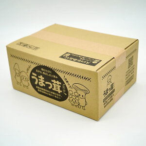 y܂z LmR`bvX 5~bNX őEGME߂  T ^ቷtC sgp wsgp wV[ q yY Mtgɂ