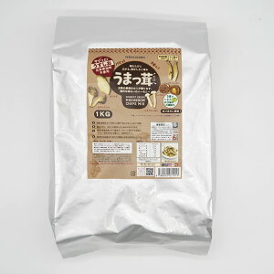 y܂z LmR`bvX 5~bNX őEGME߂  T ^ቷtC sgp wsgp wV[ q yY Mtgɂ