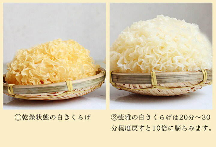 新登場 Guaストア海藻問屋 白きくらげ 1kg 業務用 無農薬栽培 銀耳 きくらげ Cervejariaturatti Com Br